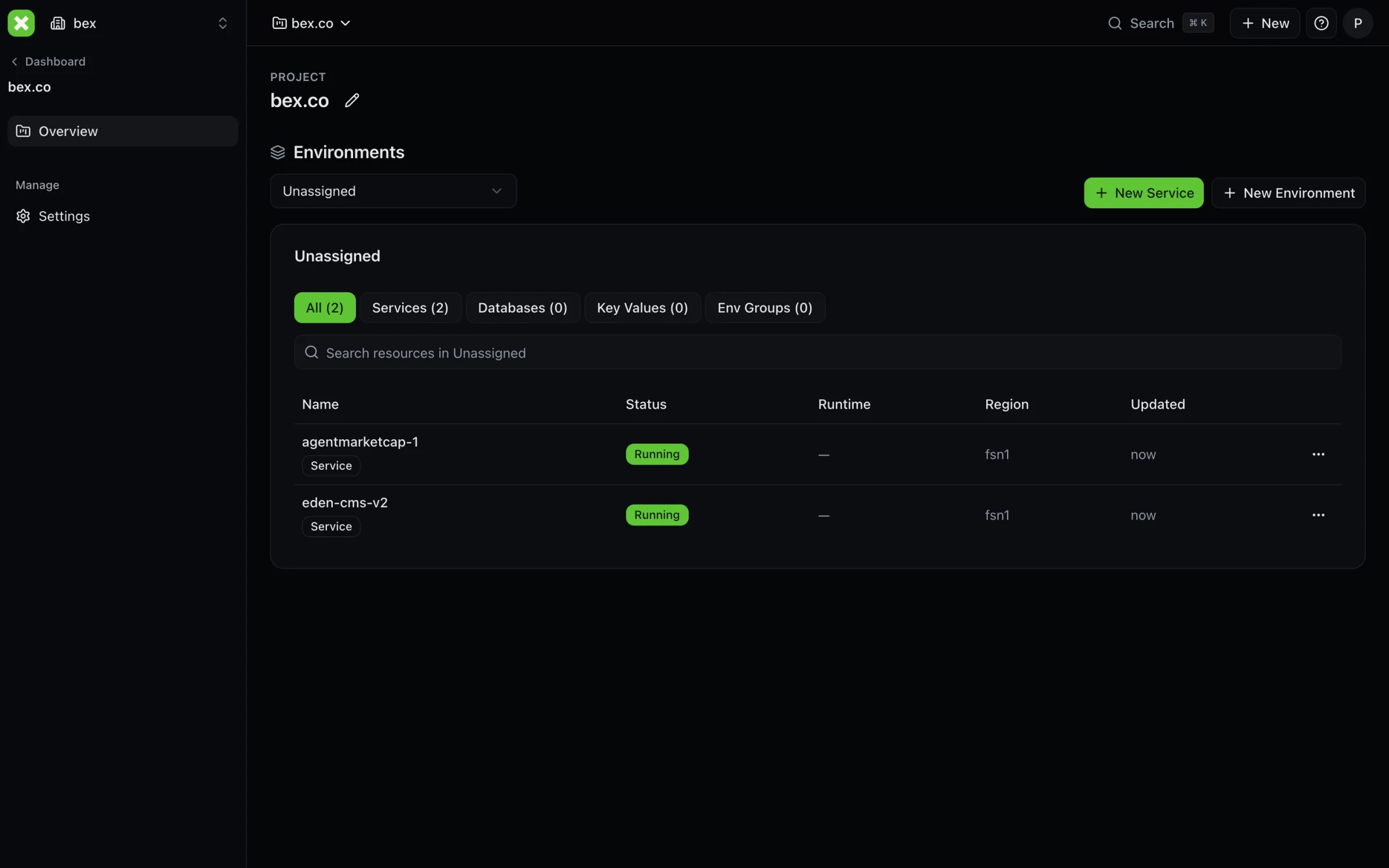 bex dashboard project overview showing two running services